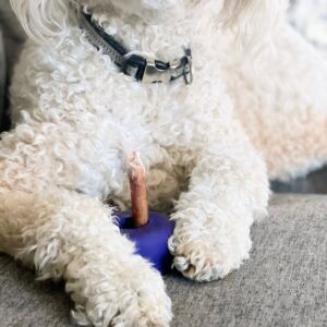 Bully Lok - Bully Stick Holder - Mini