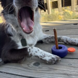 Bully Lok - Bully Stick Holder - Regular